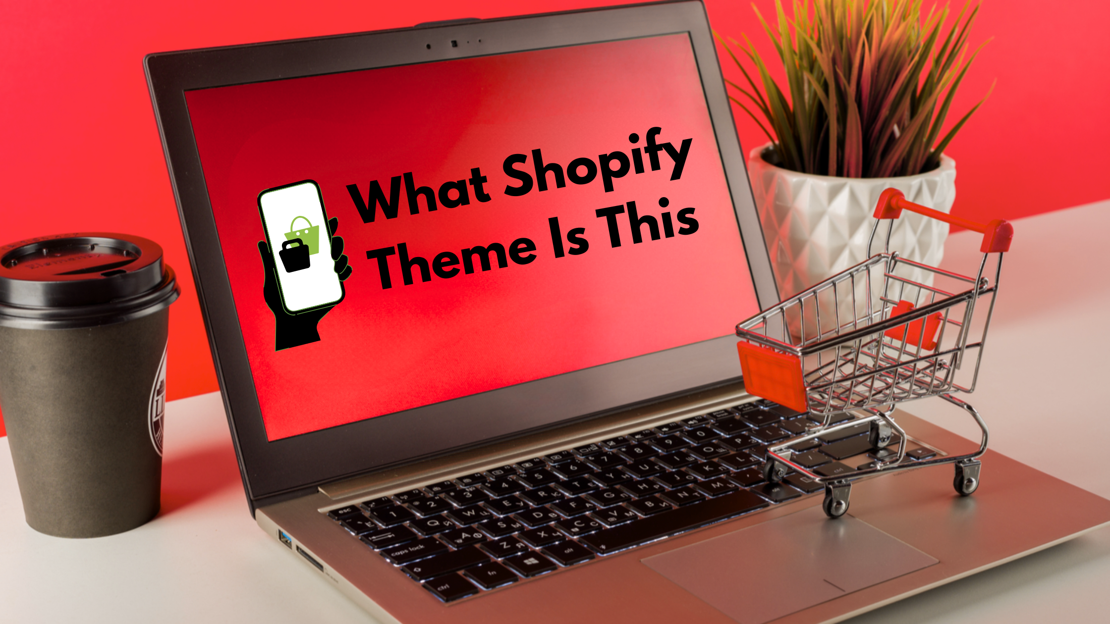 What Shopify Theme Is This